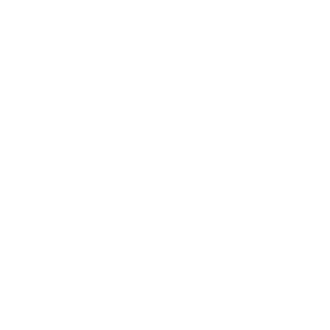 Կոշիկներ